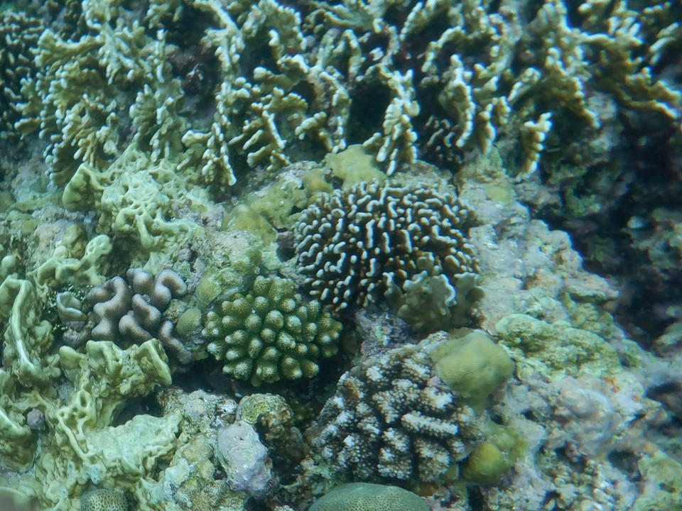 Indonesia - Kabupaten Wakatobi - 