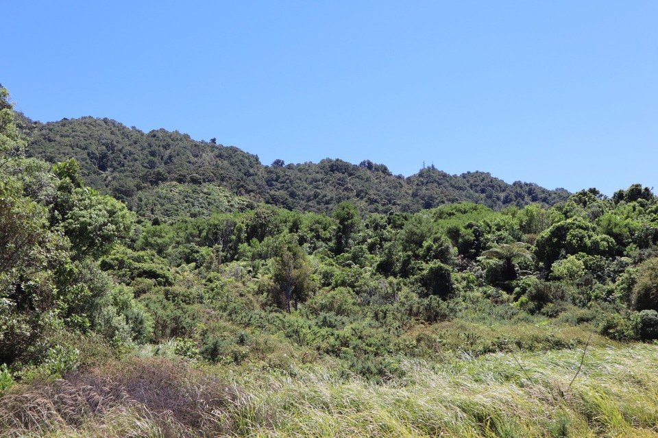 Neuseeland - Picton - 