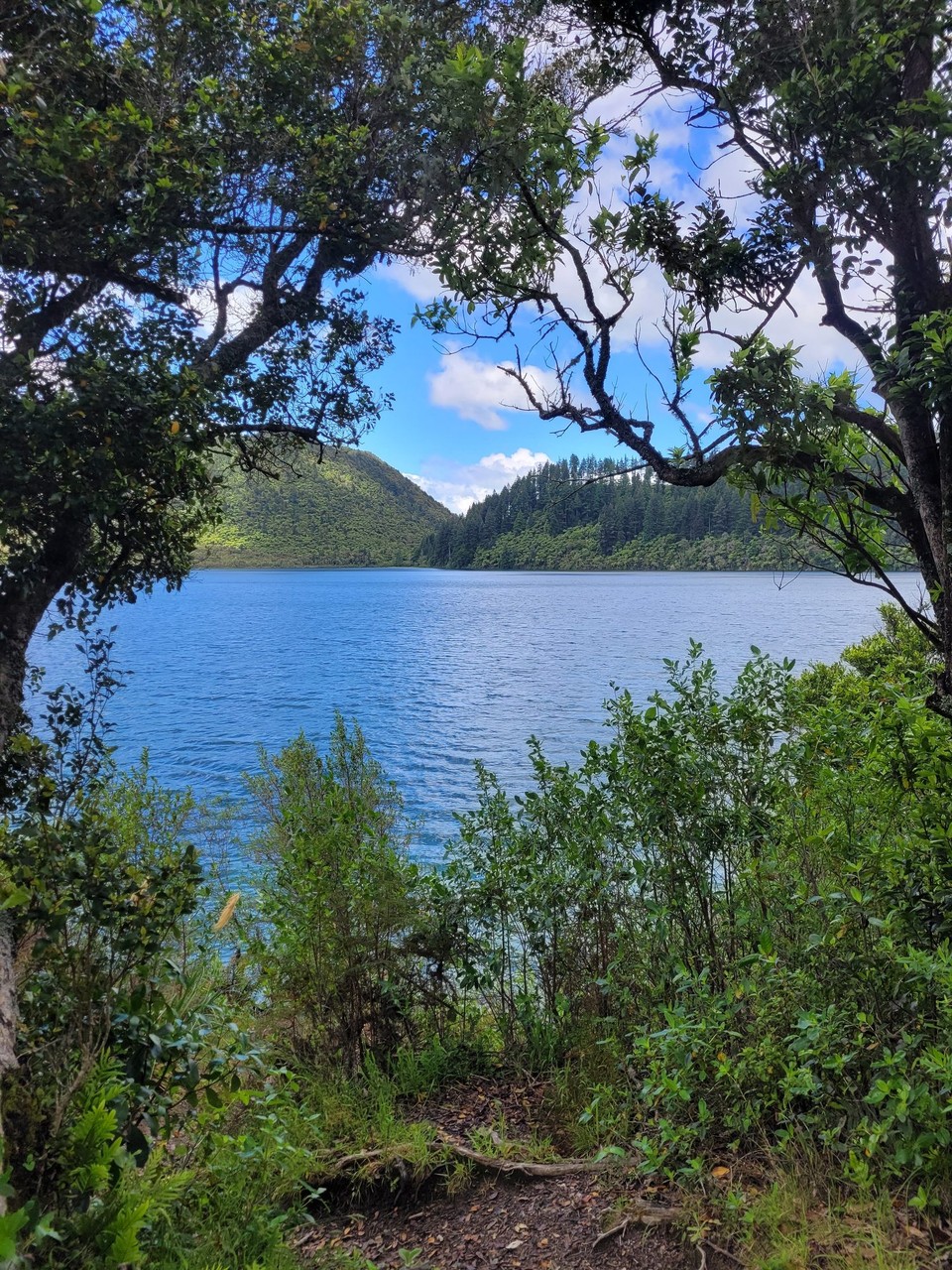 Neuseeland - Rotorua - 