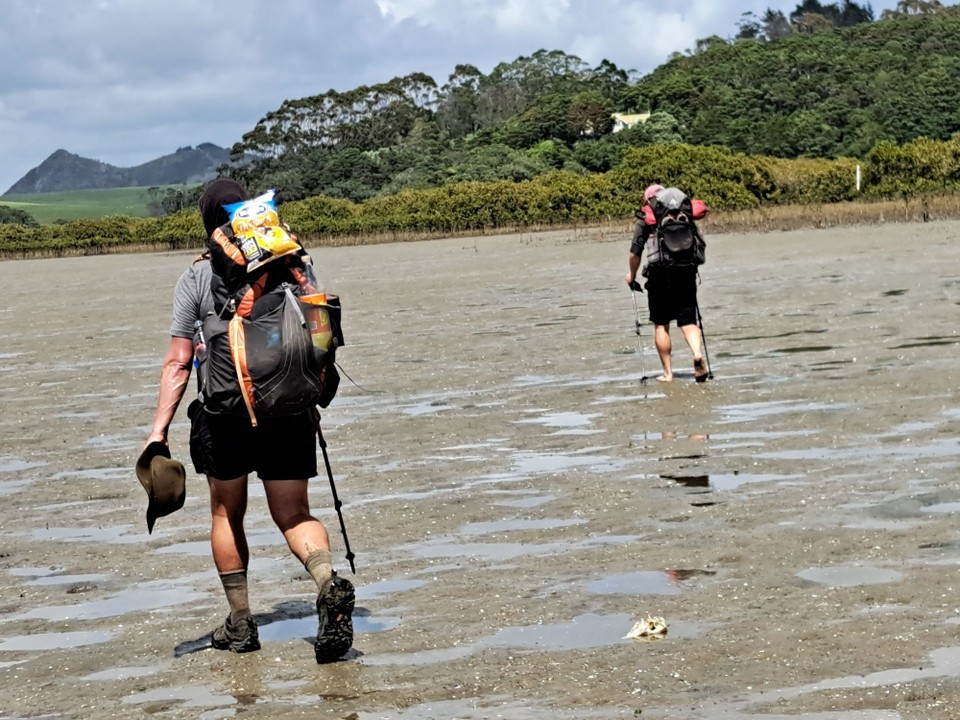 Neuseeland - Whangārei Heads - 