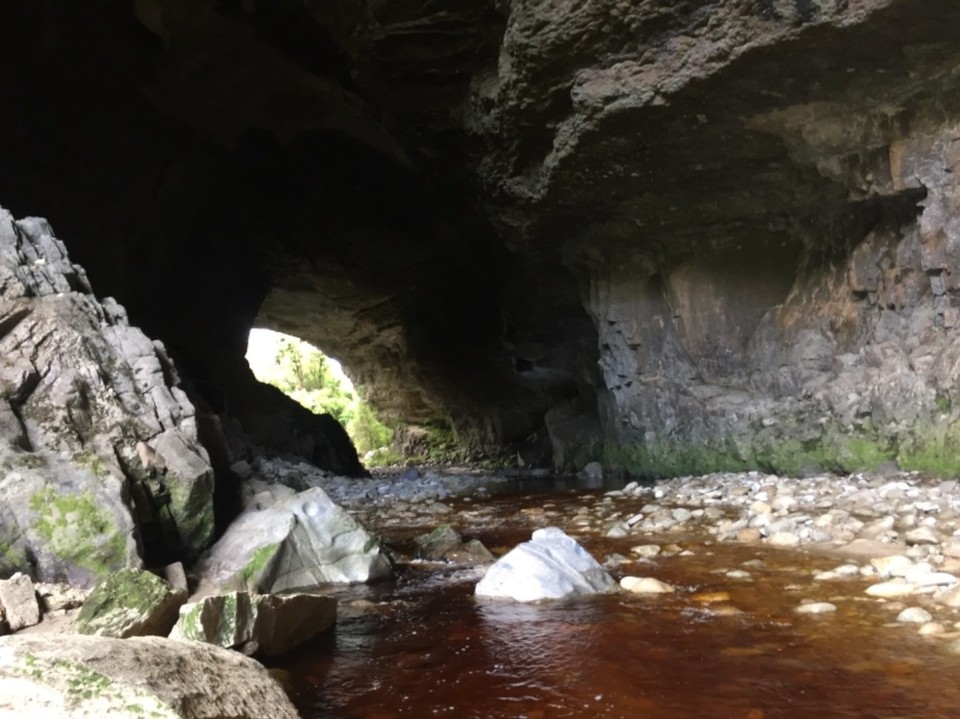 Neuseeland - Oparara River - 