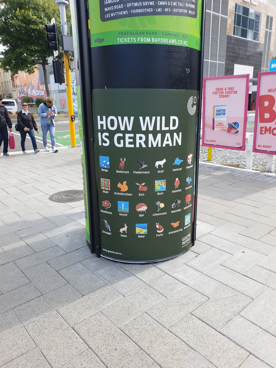 Neuseeland - Christchurch - Na, wie wild sind wir denn?😅