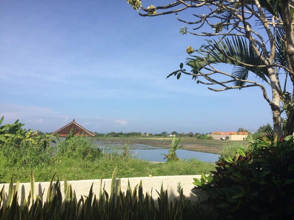 Indonesia - Kubu Kedungu villas - Deel van ons uitzicht 