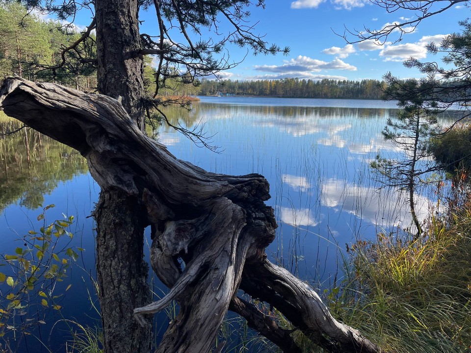 Finnland - Lievestuore - 