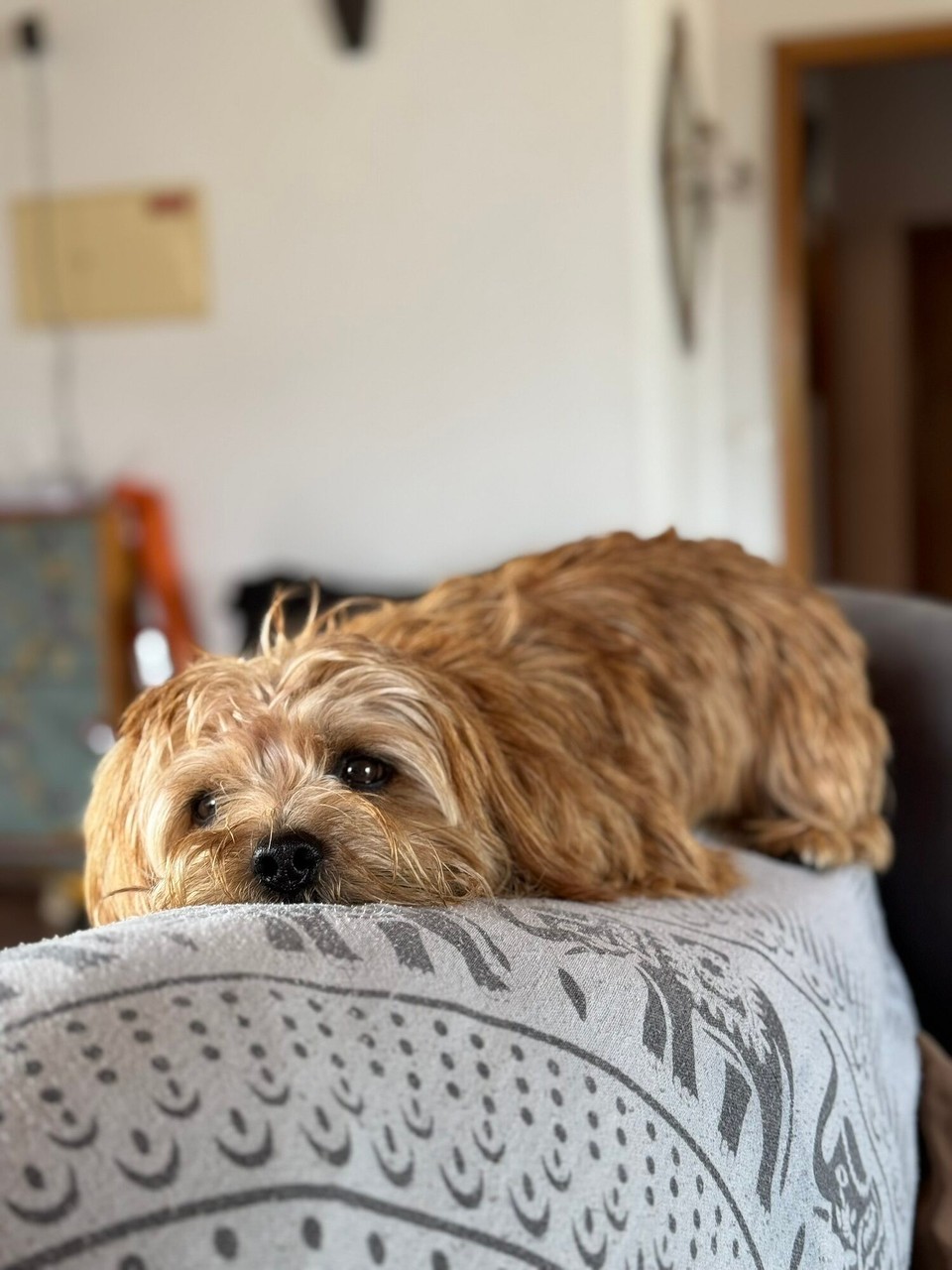 Portugal - Aljezur - 