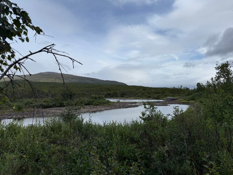 Schweden - Abisko - 