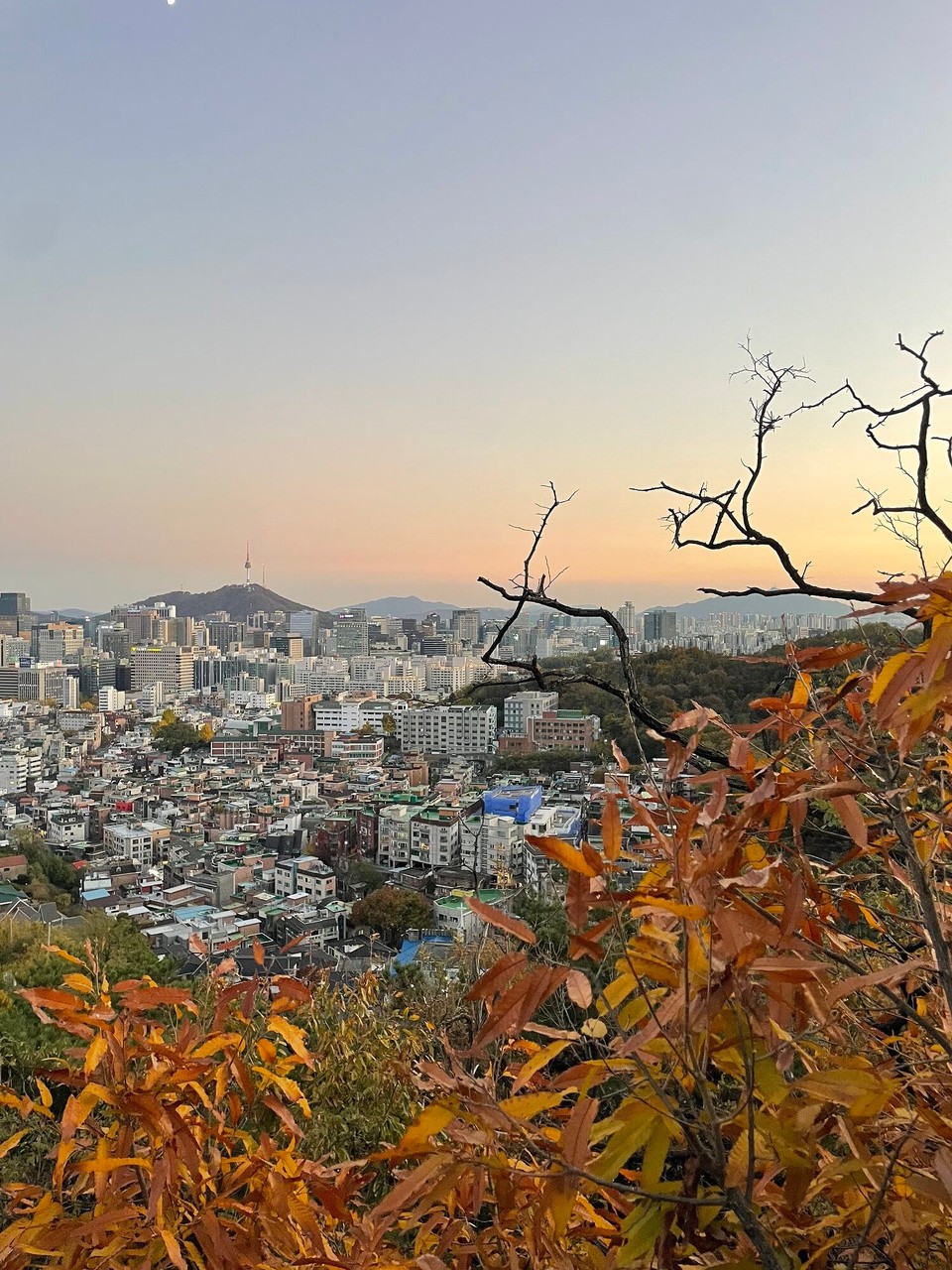 대한민국 - 서울특별시 - 