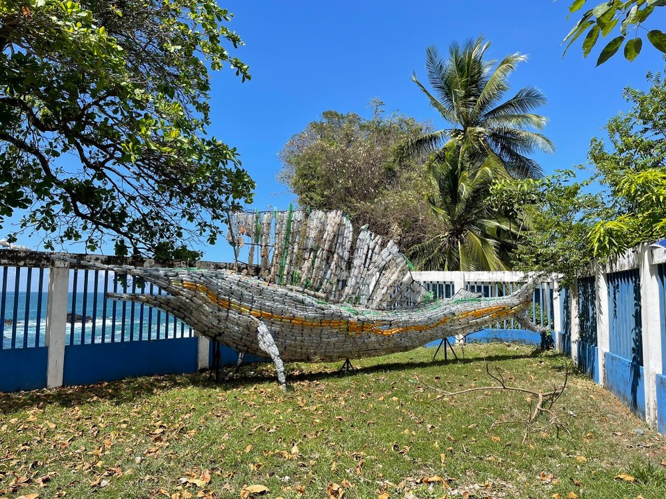 Costa Rica - Quepos - 