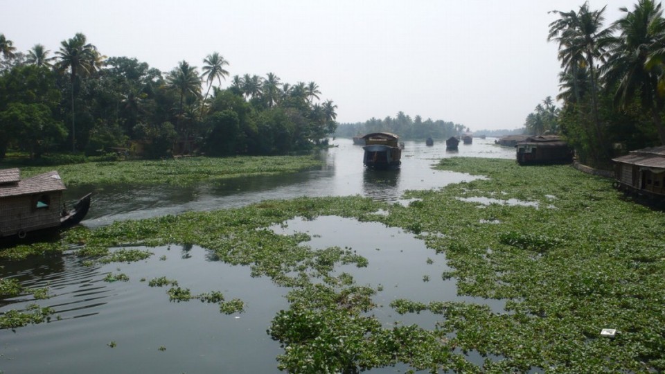 Indien - Alappuzha - 