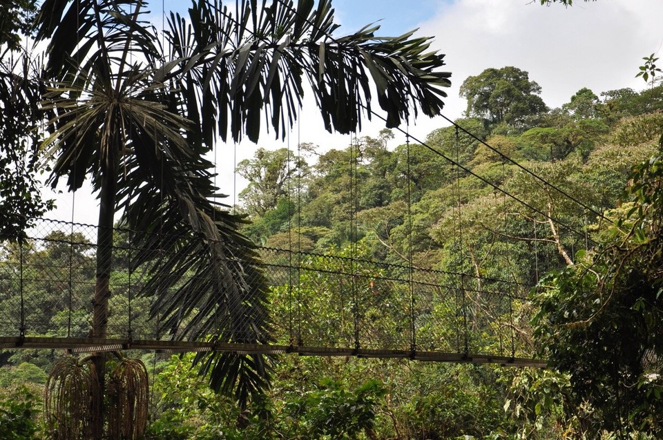 Costa Rica - Fortuna - Einer der „Hängebrücken“.. die höchste Brücke in dem Park war ca. 80 Meter hoch! Also nichts für Leute mit Höhenangst. 