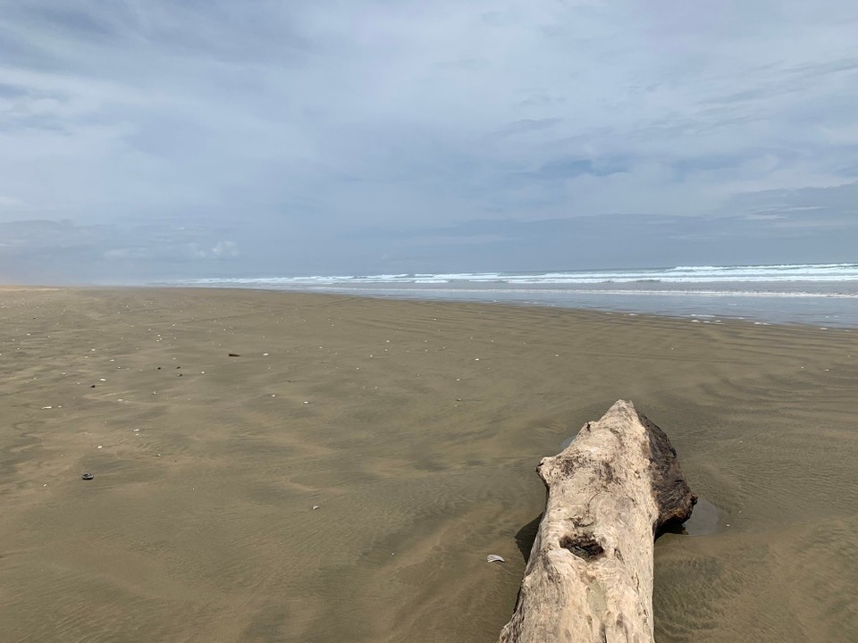 Neuseeland - Waiharara - 