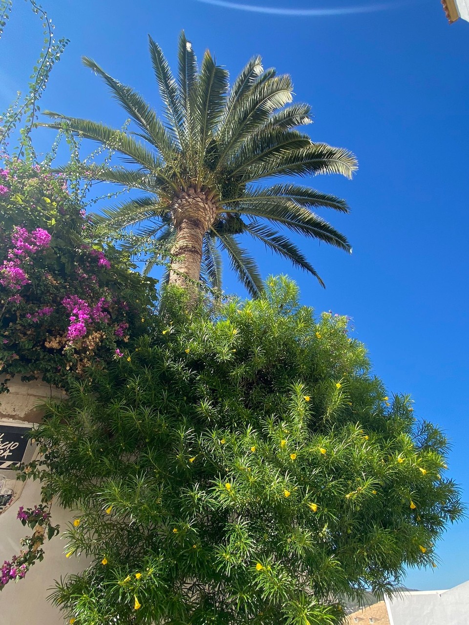 Spanien - Ibiza - 