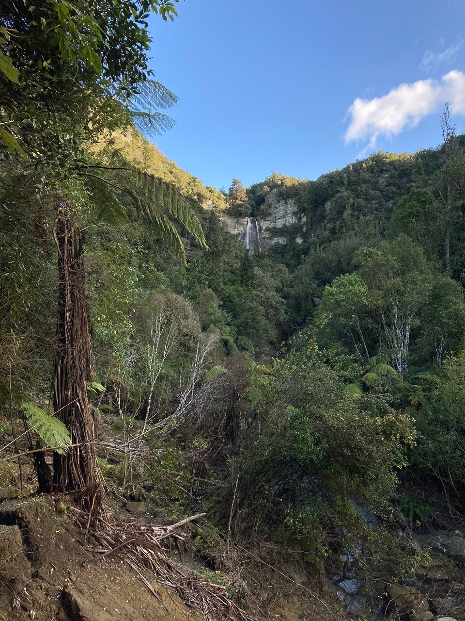 Neuseeland - Napier - Der Weg dahin hatte auch einige „Schäden“ abbekommen. Wir haben uns aber durchgeschlängelt und von den abgebrochenen Wegen ferngehalten, naja fast 😅