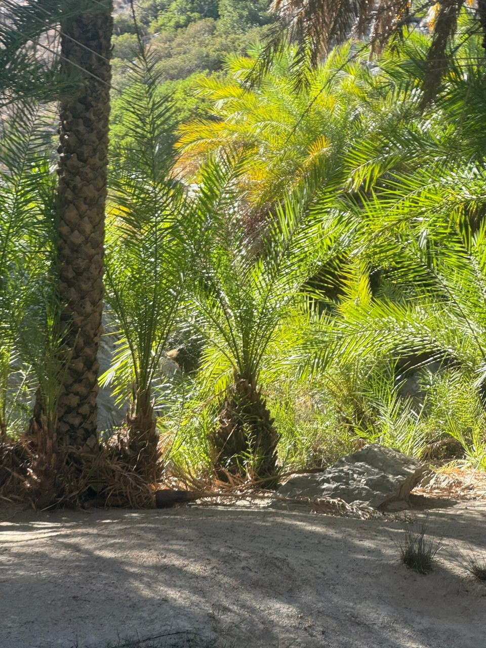 Griechenland - Asomatos - 