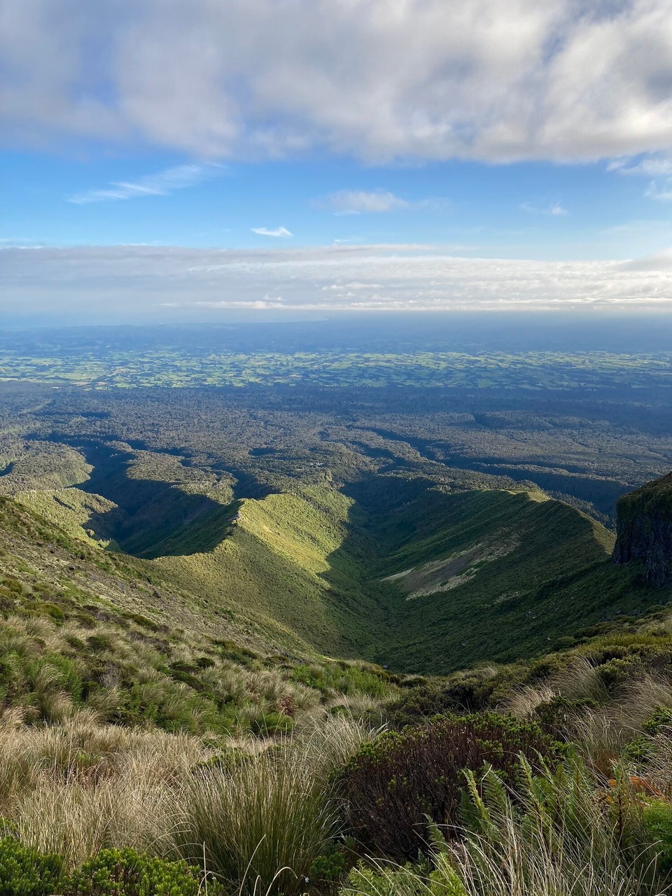 Neuseeland - Egmont National Park - 