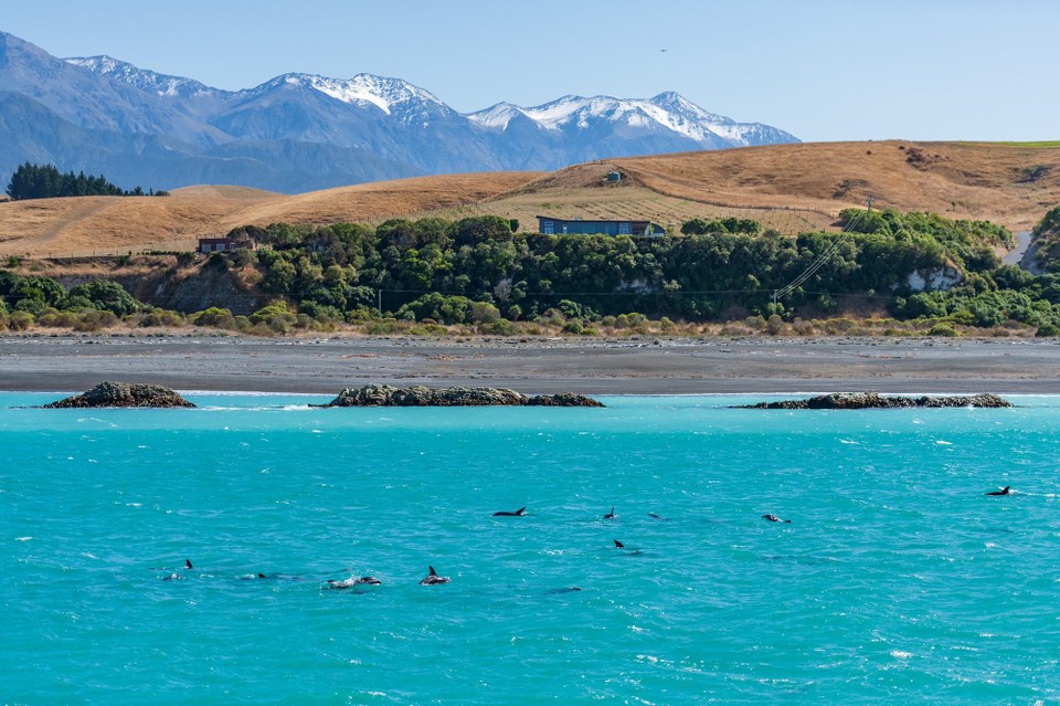 Neuseeland - Kaikoura Central - 