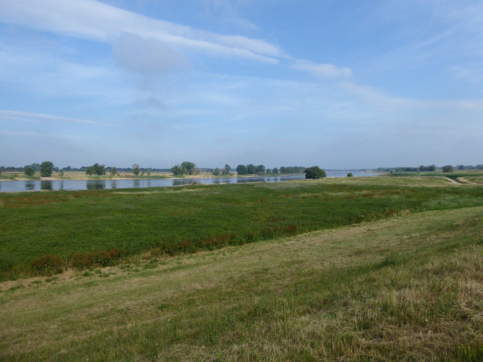 Deutschland - Havelberg - Etwas aufgeregt wegen Schiss, ob ich die vielen Kilometer in der Hitze heute schaffe, bin ich früh los. Die Dragonerin hat mich netterweise eine halbe Stunde eher an den Frühstückstisch gelassen. Glück gehabt.
Ein kurzer Blick zurück Richtung Dömitz.