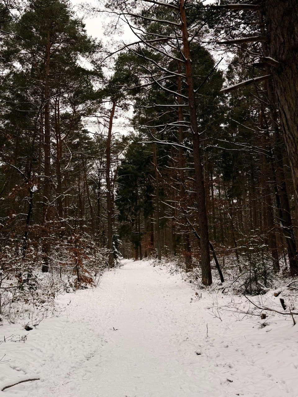 Deutschland - Cuxhaven - 