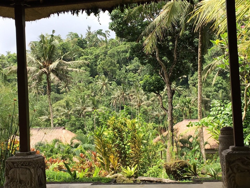 Indonesien - Gianyar - Überall Grün, so weit das Auge reicht