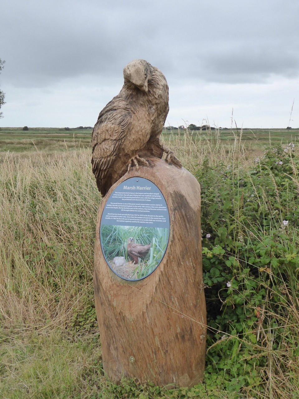 United Kingdom - Southwold - 