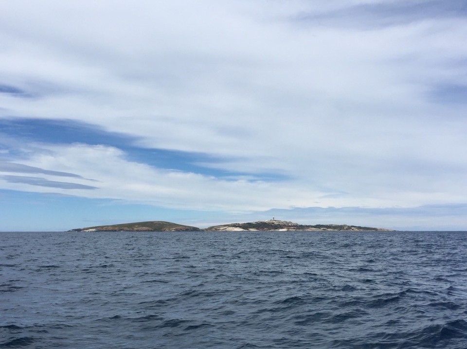 Australia - Montague Island - 