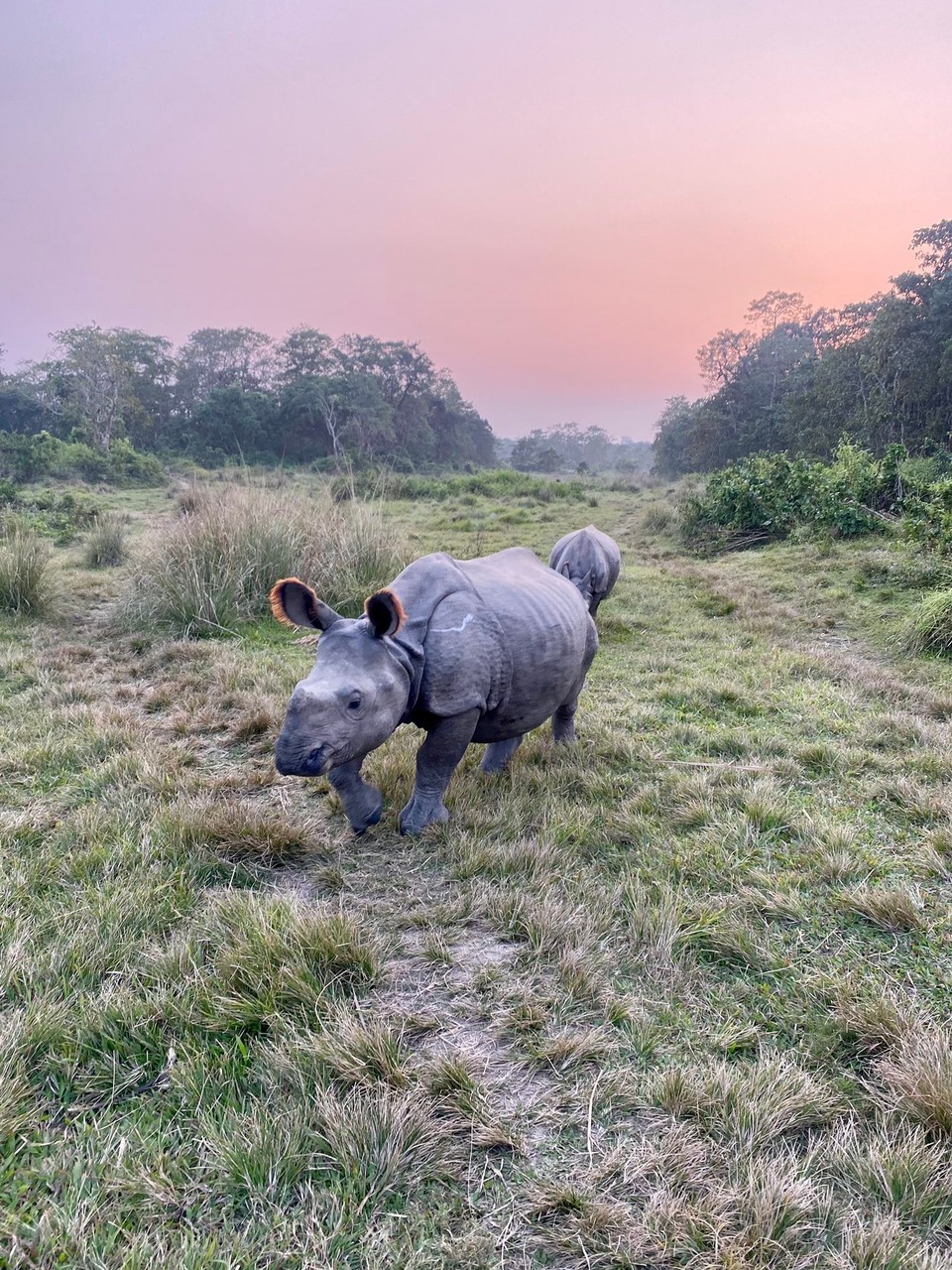 Nepal -  - 