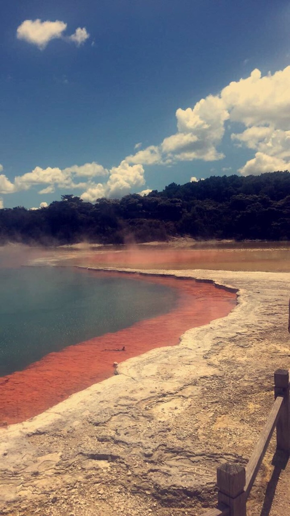 New Zealand - Waiotapu - 