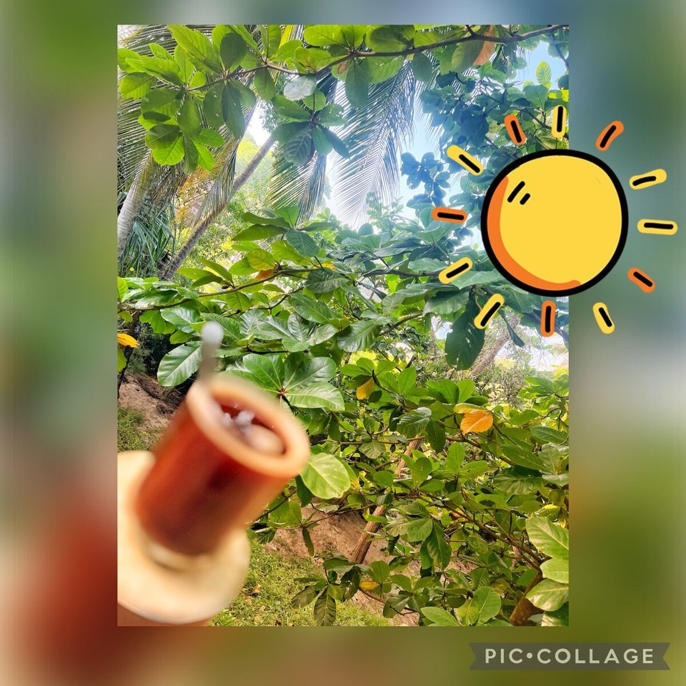 Tansania -  - 