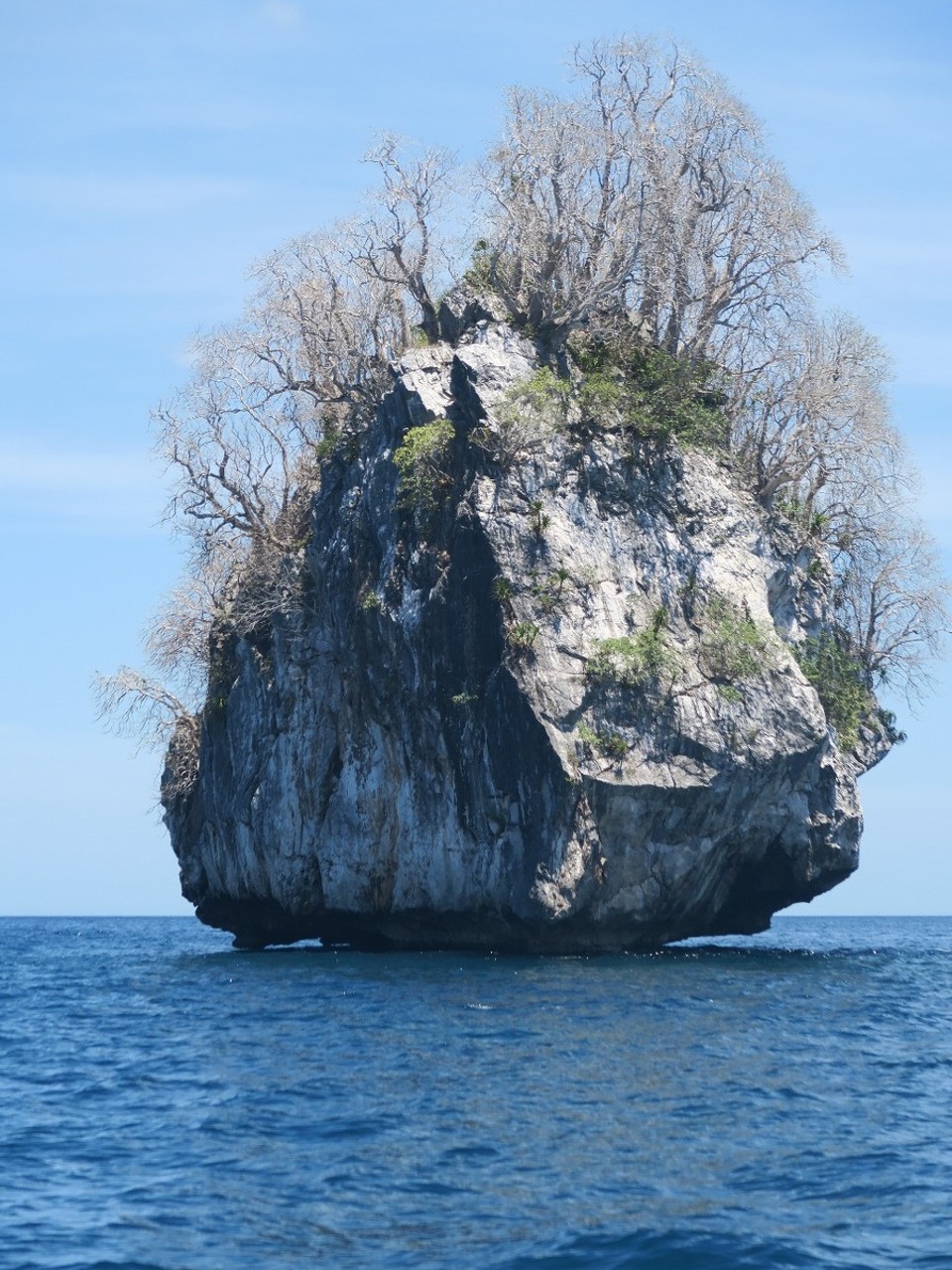 Philippines - El Nido - Arbres au milieu de l'ocean