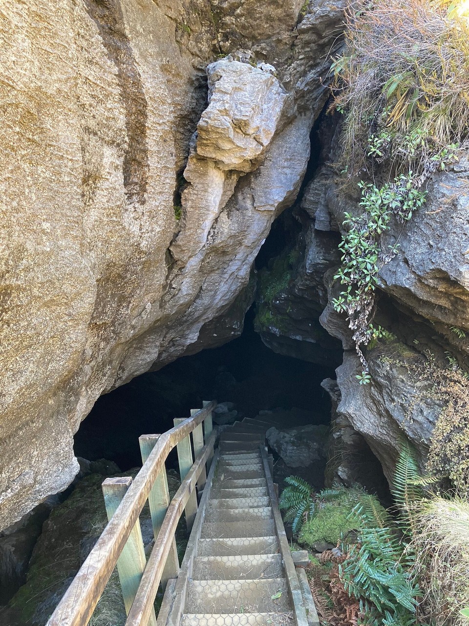 Neuseeland - Fiordland National Park - Oben angekommen, gibt es 10 Minuten von der Hütte die Luxmore Caves zu bestaunen 😮