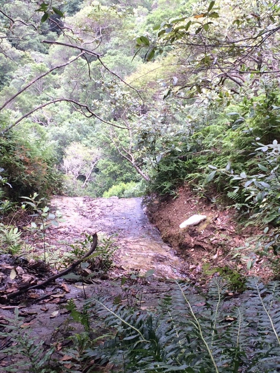 Australien - Katoomba - 
