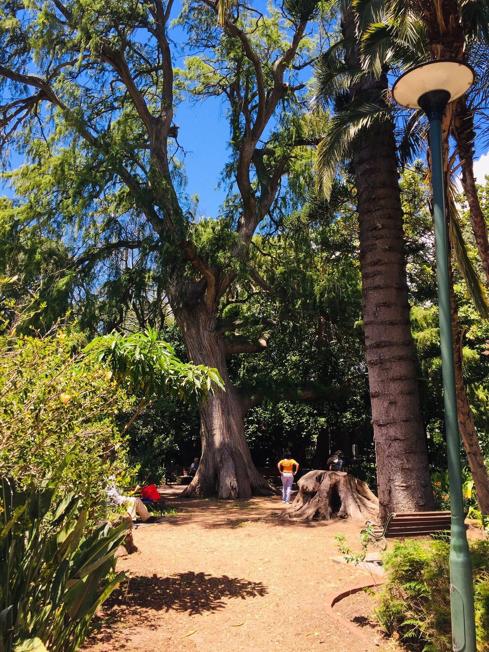 Südafrika - Cape Town - 