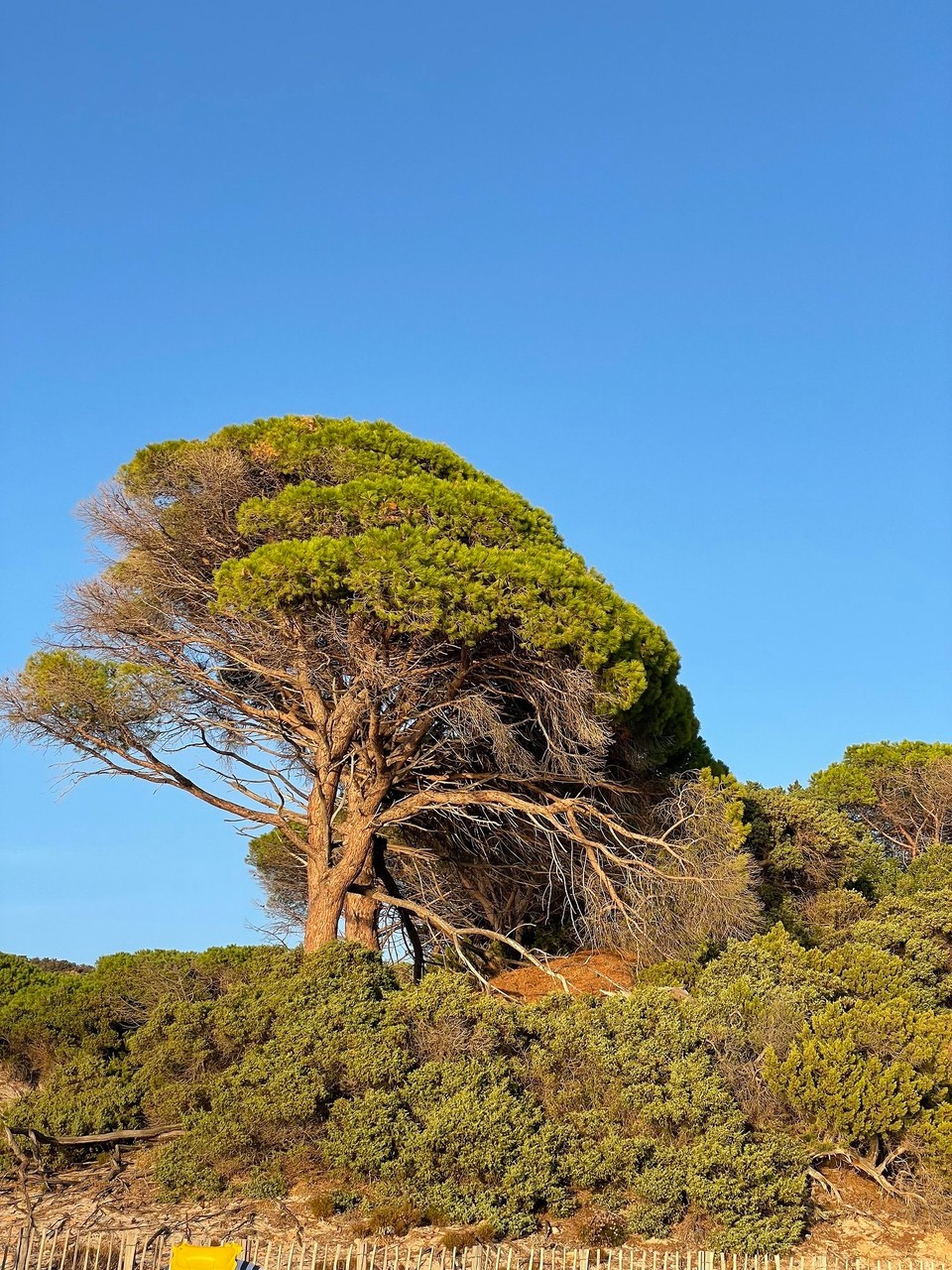 Frankreich - Porto-Vecchio - 
