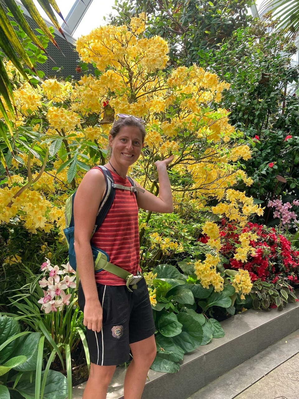 Singapur - Singapur - 