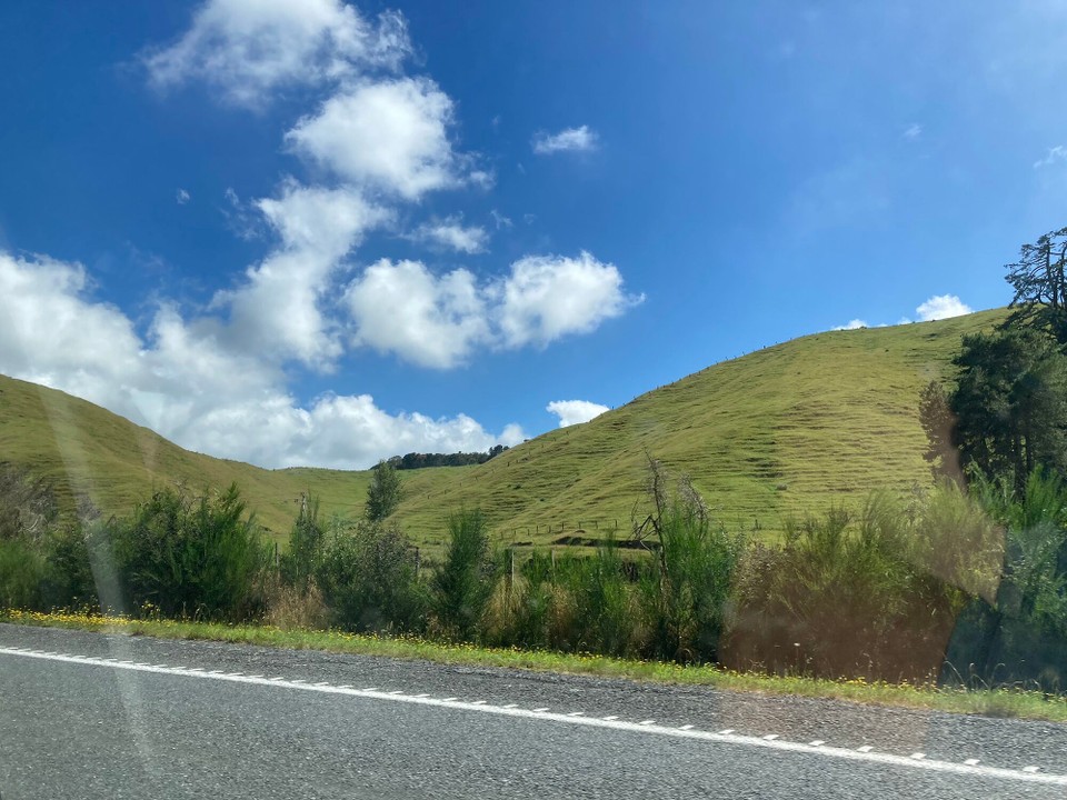 Neuseeland - Rotorua - Grüne Wiesen im Sonnenschein 😀