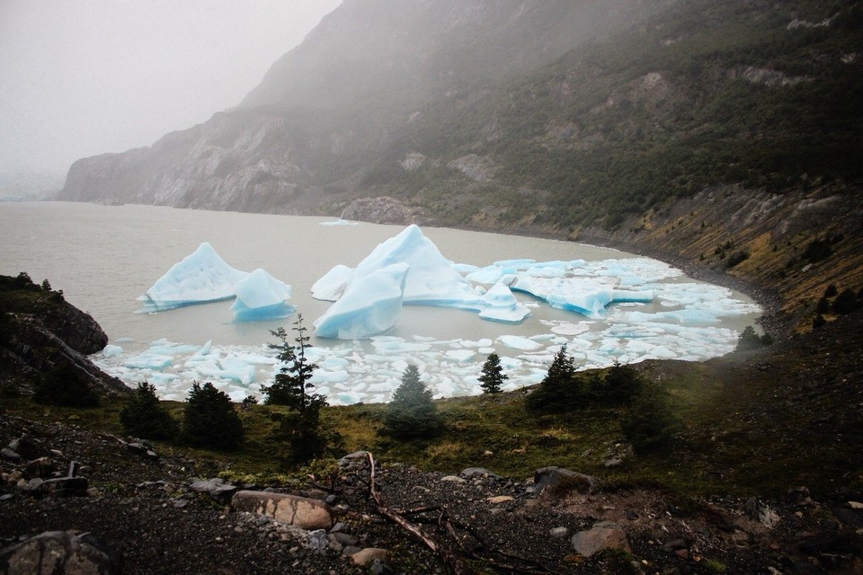 Chile - Torres del Paine - 