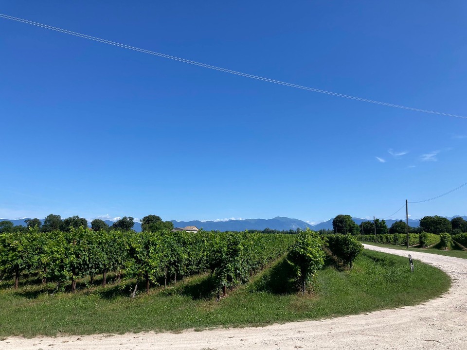 Italien - Breda di Piave - Wein und Berge