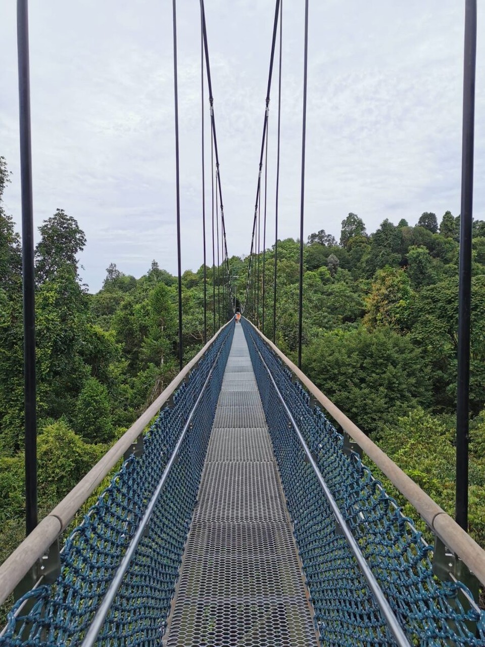 Singapur - Singapur - TreeTop Walk