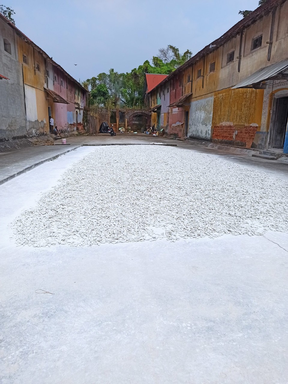 Indien - Kochi - 