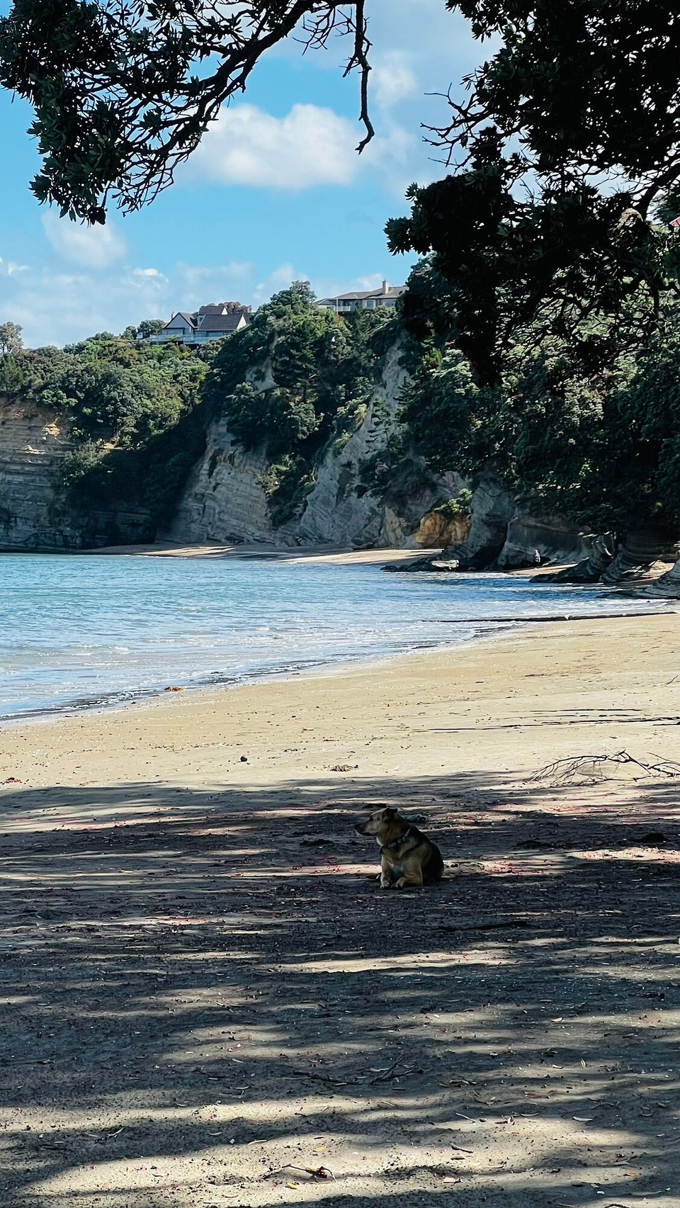 New Zealand - Orewa - 