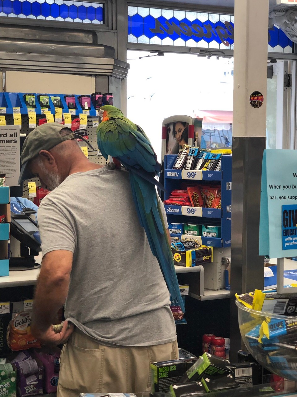 Vereinigte Staaten - Key West - Papagei in der Drogerie🦜