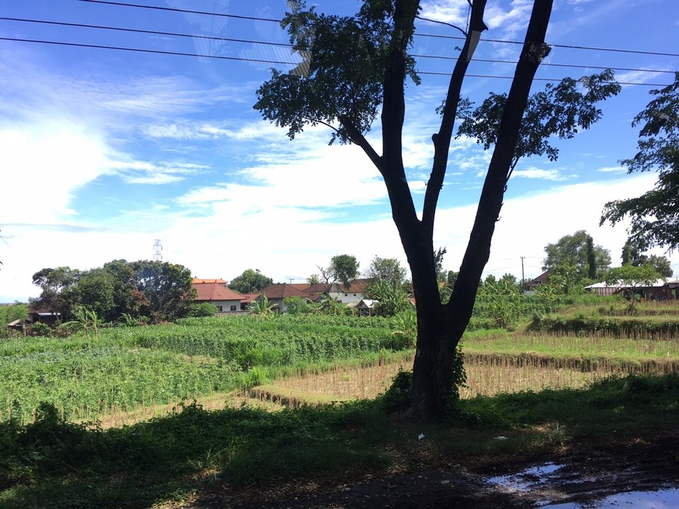 Indonesien - Gianyar - Landschaft 