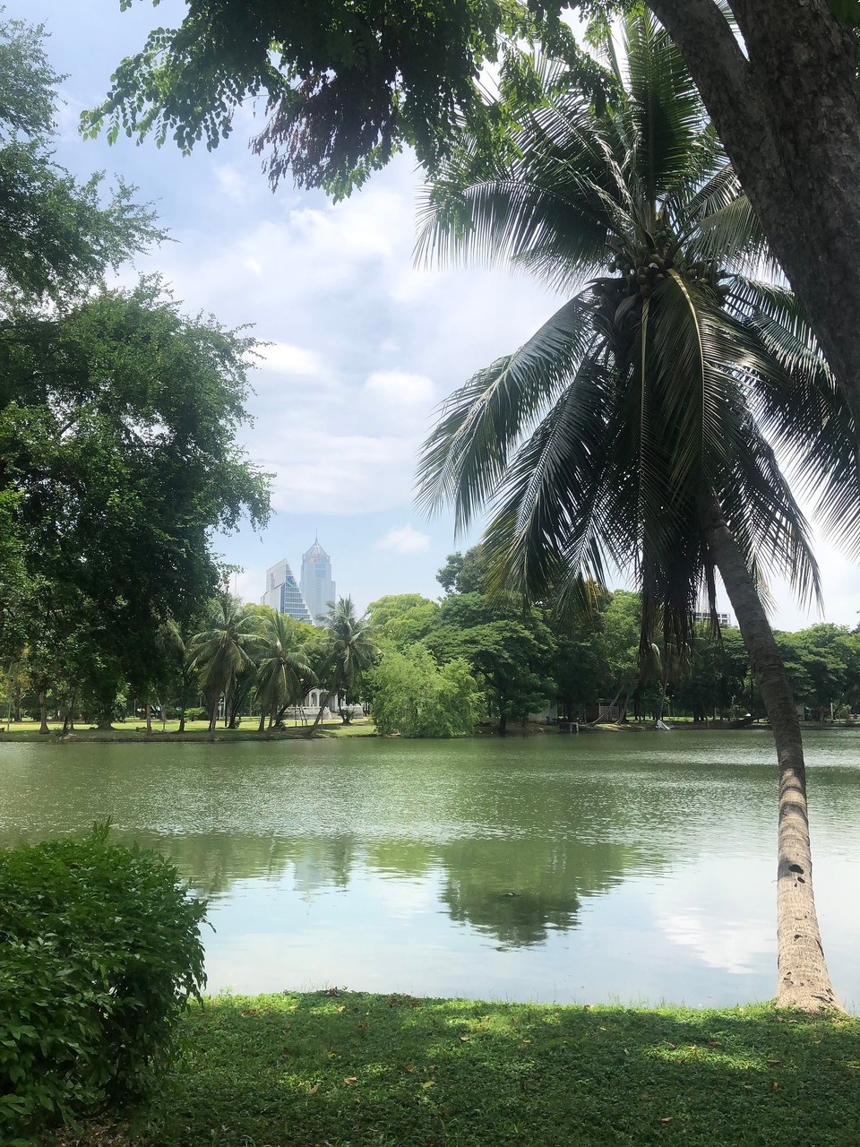 Thailand - Bangkok - Lumpinipark 🌳