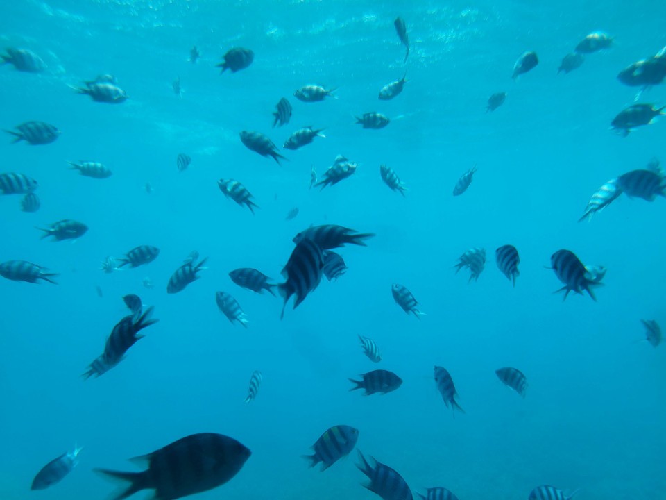 Ägypten - Hurghada - 