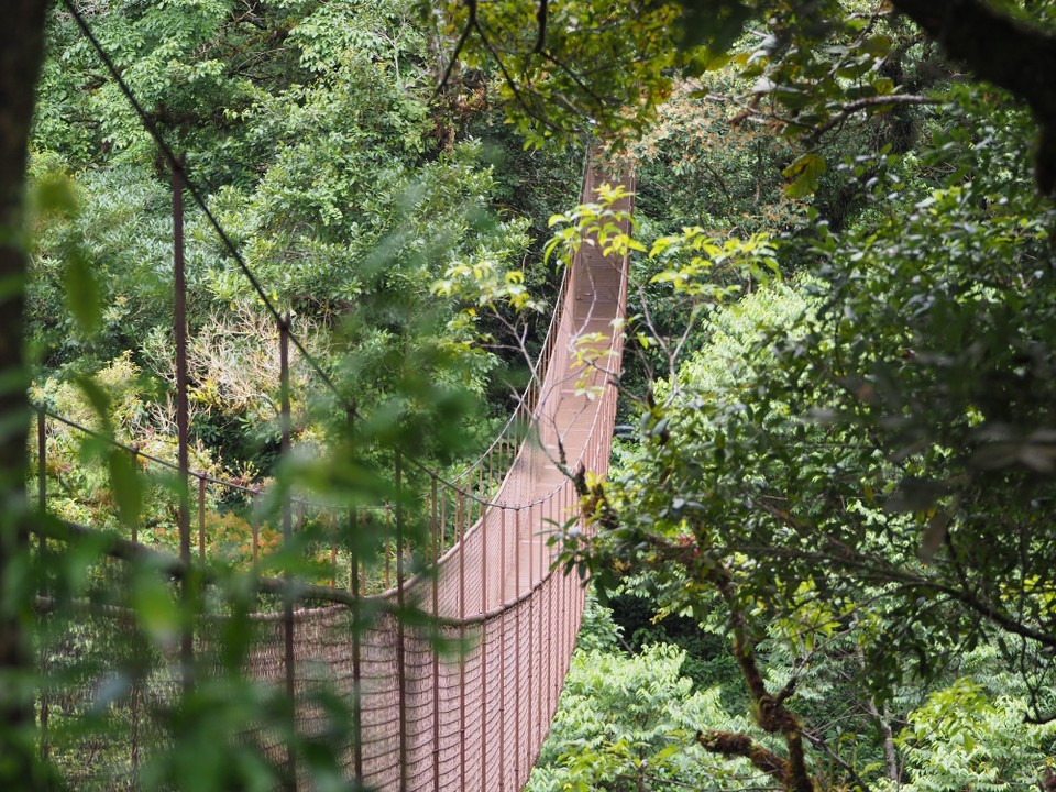 Panama - Boquete - 