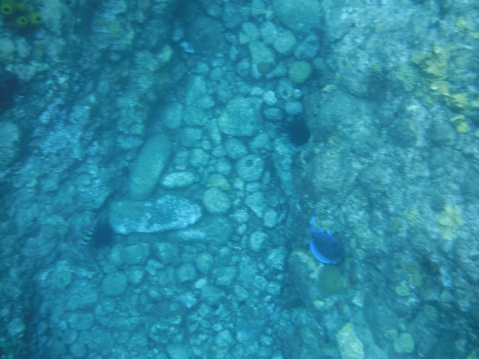 Dominica -  - 