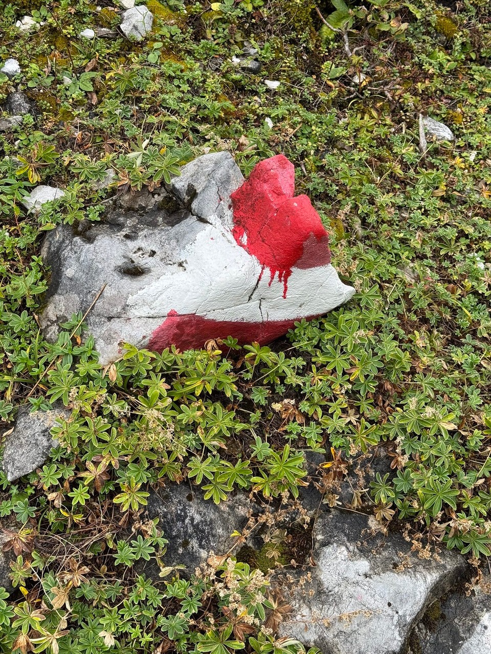 Österreich - Innsbruck - 