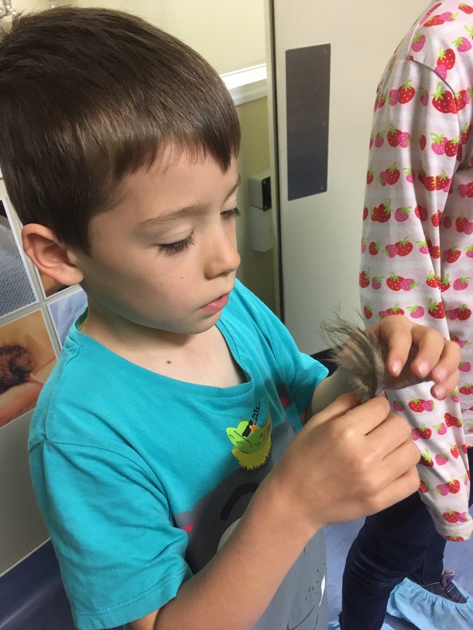 Neuseeland - Franz Josef Glacier - 