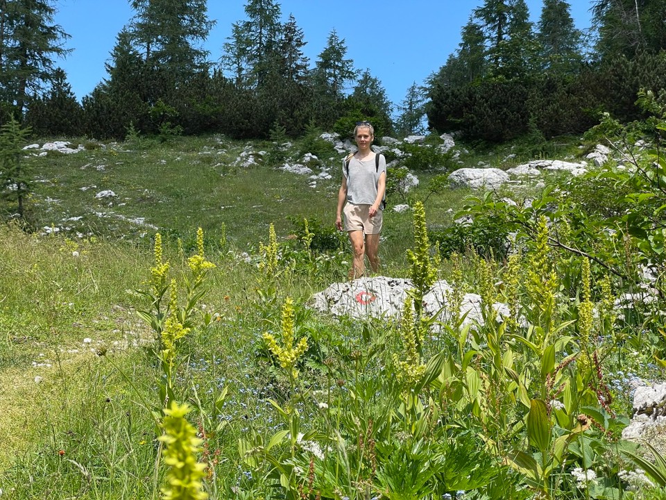 Slowenien - Bohinj - 