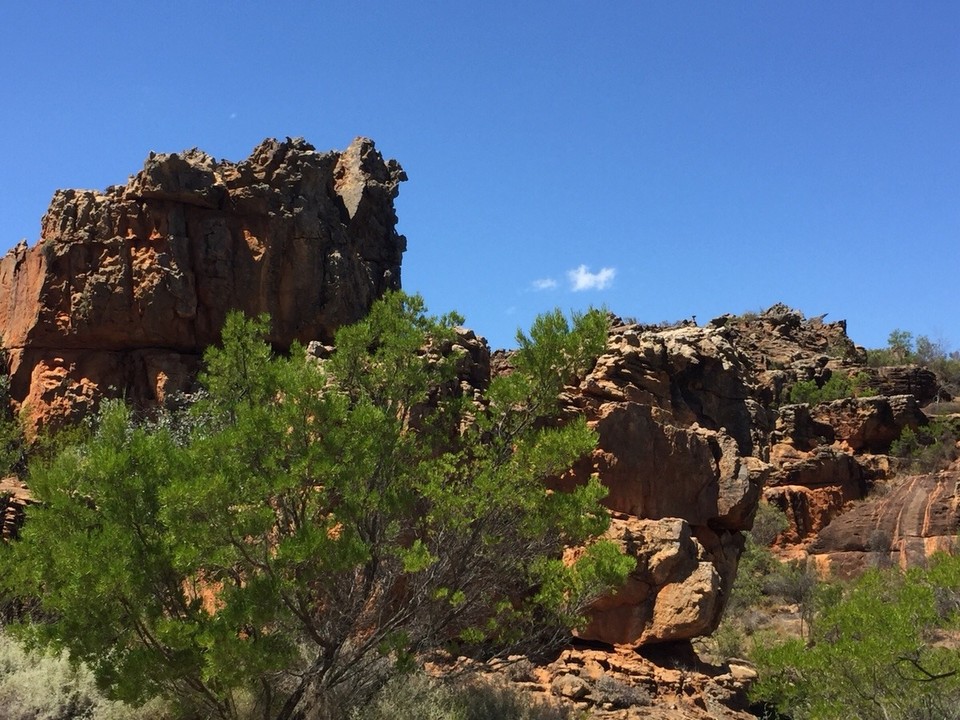 Südafrika - Clanwilliam - 